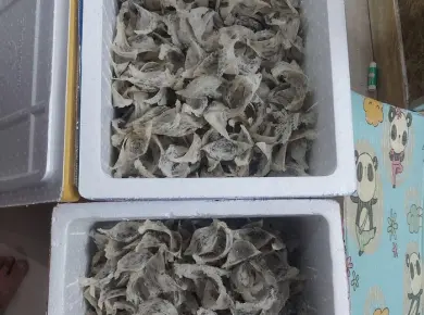 Thế nào là nhà yến thành công?